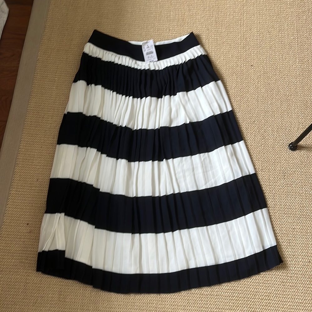 Navy and white skirt